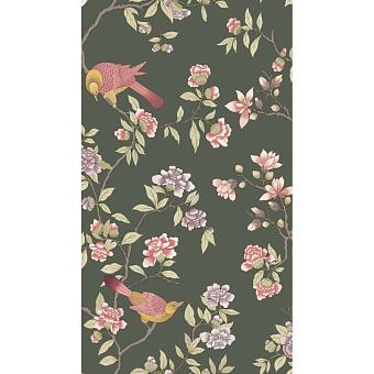 Флизелиновые обои Little Greene 0267ADOLIVE коллекции National Trust Papers IV